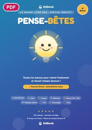 Cover: Le Grand Livre des Pense-Bêtes Spécial Brevet as a PDF