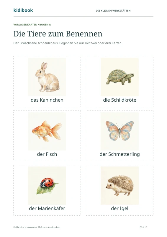 Seite 3: Tierkarten