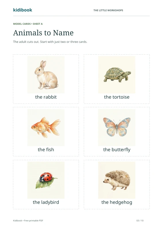Page 3: animal cards