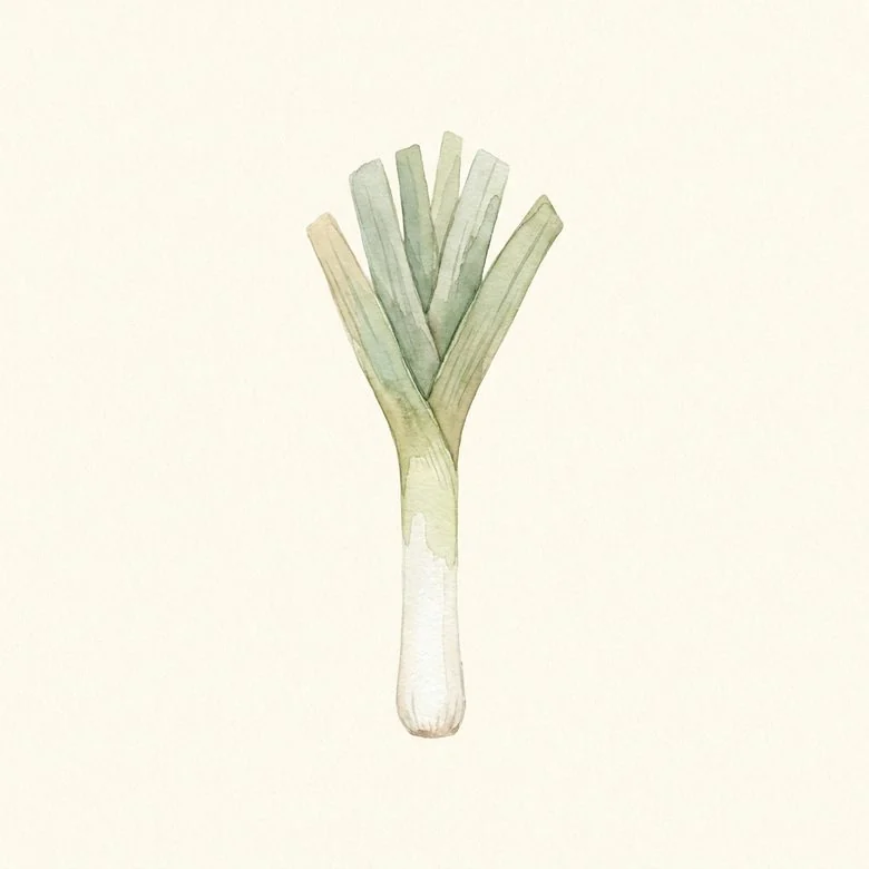 A leek