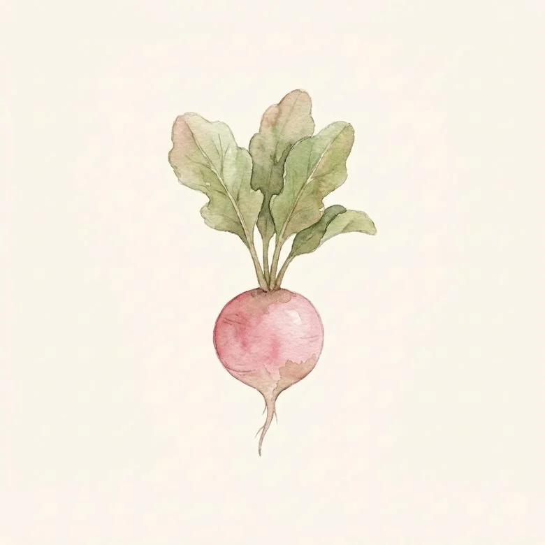 A radish